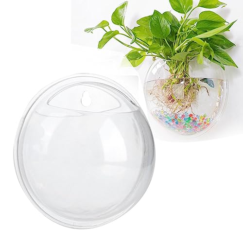 Cocoarm Fischschale, Mini-Wand-Aquarium, Acryl, Transparent, Zum Aufhängen, Mini-Aquarium, Dekoration, Klare Fisch-Zylinderschale, Durchmesser 15 cm Cocoarm Fischschale, Mini-Wand-Aquarium, Acryl, Transparent, Zum Aufhängen, Mini-Aquarium, Dekoration, Klare Fisch-Zylinderschale, Durchmesser 15 cm von Cocoarm