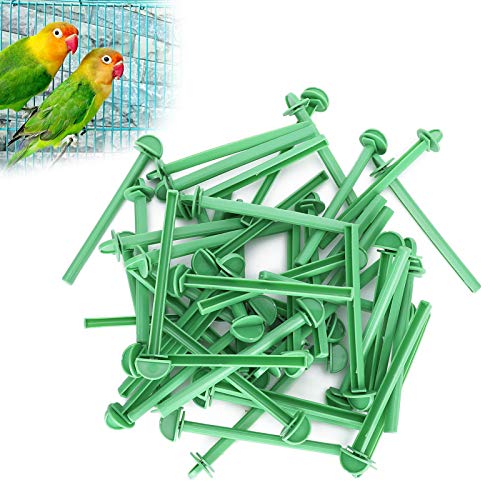 Plastik Vogel Käfig Stehstift, 50 PCS Papageien -Stehstange Stehbar Kit für Papageien Shot, Strukturierte Oberfläche für Bequemen Griff von Cocoarm