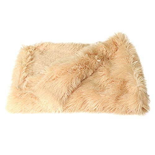 Cocolook Haustiere Soft Velvet Decke Warm Fluffy Schlafen Double Layer-Matte für Small Medium Large Hunde Schwarz,S von Cocolook