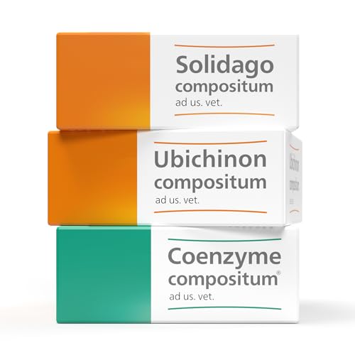 Solidago Compositum ad us.vet.Ampullen 10 St von Coenzyme Compositum