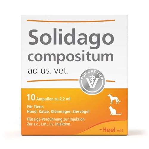 Solidago compositum ad us. Vet. 10 Ampullen. Bestandteil der SUC-Kombination | Natürliches Tierarzneimittel für Katzen, Hunde, Kleinnager und Ziervögel | Made in Germany von Coenzyme Compositum
