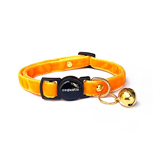 Cognatio Sicherheits-Katzenhalsband, mit Schnellverschluss, doppelter Samt, mit Glöckchen, erhältlich Samt, gerippt, perfekt für Ihre Katze von Cognatio