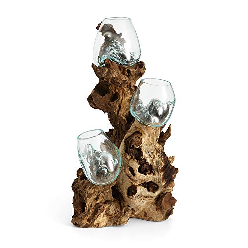 Cohasset Terrarium aus geschmolzenem Glas, 3 Stück, 48,3 cm hoch, Teakholz mit 10 cm recyceltem Glasgefäß von Cohasset Gifts & Garden