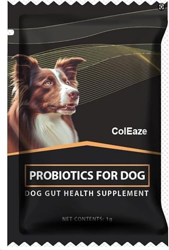 ColEaze Gelenkpulver für Hunde – 55 x 1g Beutel – Ergänzungsfuttermittel mit Glucosamin, MSM & Artischocke – Für Hunde Aller Altersstufen – Zur Unterstützung der Gelenkfunktion von ColEaze