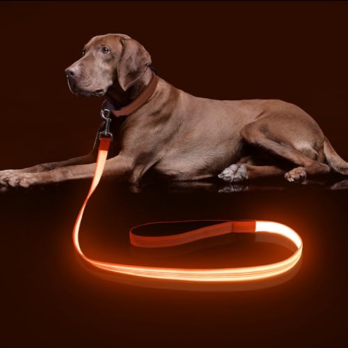 Colaseeme LED-Hundeleine, 1,2 m, Wiederaufladbar über Micro-USB, Nylongewebe, Leuchtende Sicherheitsstandard für Hunde, Orange Mit 3 Reflektierenden Drähten von Colaseeme
