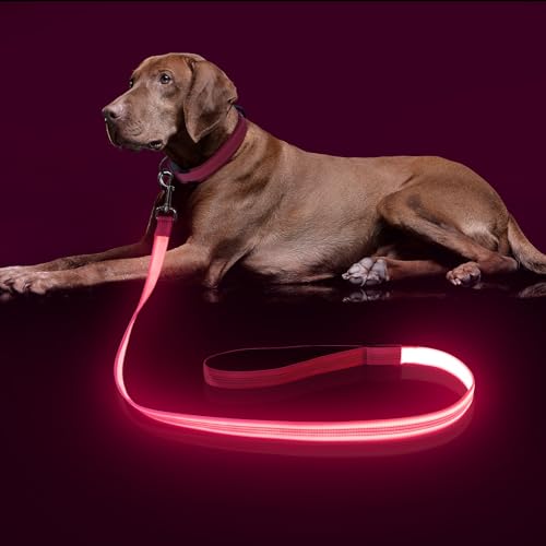Colaseeme LED-Hundeleine, 1,2 m, Wiederaufladbar über Micro-USB, Nylongewebe, Leuchtende Sicherheitsstandard für Hunde, Rosa 4FT von Colaseeme