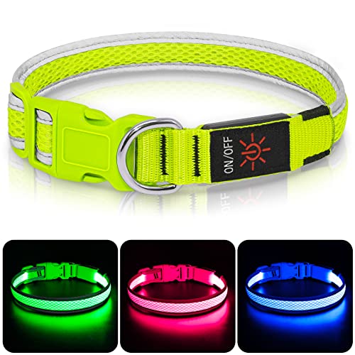 Leuchthalsband Hund, Colaseeme LED Hunde Leuchthalsband, Wasserdicht Hundehalsband Leuchtend, HundeleuchthalsbäNder Aufladbar für Pet Night Walking Safety, grün L von Colaseeme