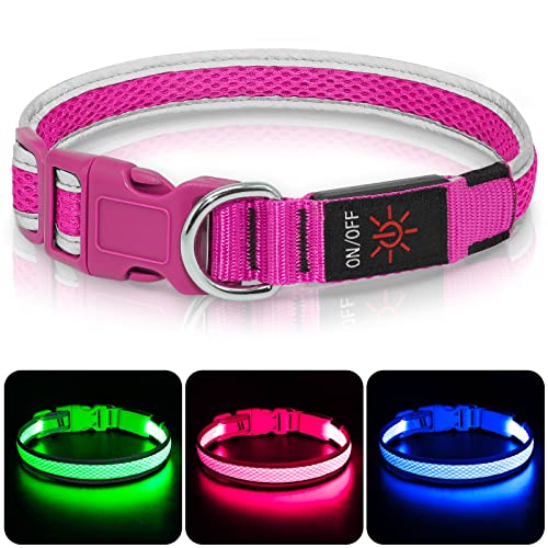 Leuchthalsband Hund, Colaseeme LED Hunde Leuchthalsband, Wasserdicht Hundehalsband Leuchtend, HundeleuchthalsbäNder Aufladbar für Pet Night Walking Safety, rosa M von Colaseeme