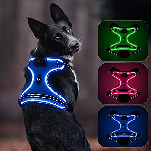Leuchtendes Hundegeschirr, Colaseeme Anti Zug Hundegeschirr mit Reflexstreifen und Kontrolle Verstellbar Geschirr, LED Hundegeschirr Wieder, aufladbares Beleuchtetes Hundegeschirr, Blau XS von Colaseeme