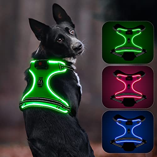 Leuchtendes Hundegeschirr, Colaseeme Anti Zug Hundegeschirr mit Reflexstreifen und Kontrolle Verstellbar Geschirr, LED Hundegeschirr Wieder, aufladbares Beleuchtetes Hundegeschirr, Grün XS von Colaseeme