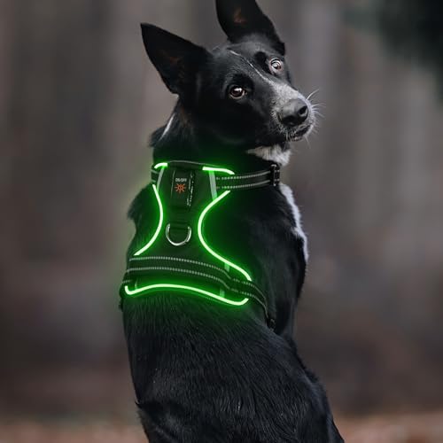 Leuchtendes Hundegeschirr, Colaseeme Light Hundeweste mit reflektierenden Streifen und verstellbarem Geschirr, LED-Hundelicht wiederaufladbar für kleine, mittelgroße und große Hunde (RGB,M) von Colaseeme
