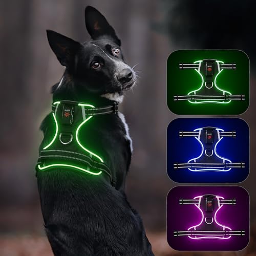 Leuchtendes Hundegeschirr, Colaseeme Light Hundeweste mit reflektierenden Streifen und verstellbarem Geschirr, LED-Hundelicht wiederaufladbar für kleine, mittelgroße und große Hunde (RGB,S) von Colaseeme