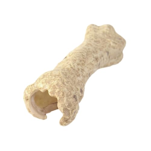 Colcolo Aquarium Versteckhöhle Harz Skulptur Betta Hide Aquarium Dekoration Ornament für Eidechsen Frösche Gecko Bart Dragon Garten, Knochenform von Colcolo