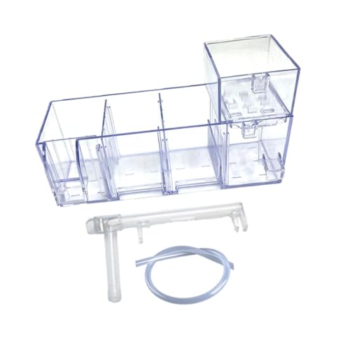 Colcolo Aquariumfilter, Aquariumfilter, Leicht, Leise, Robustes Aquariumzubehör, Aufhängen des Filters für Schildkrötenbecken, Box Nass- Und Trockenschlauch Colcolo Aquariumfilter, Aquariumfilter, Leicht, Leise, Robustes Aquariumzubehör, Aufhängen des Filters für Schildkrötenbecken, Box Nass- Und Trockenschlauch von Colcolo