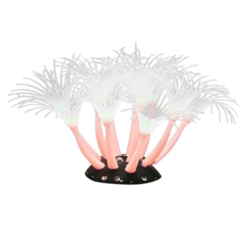 Colcolo Aquariumsimulation Weiches Korallen Pflanzen Dekoration Dekorative Landschaft Dekoration Fischtankdekoration, Rosa Colcolo Aquariumsimulation Weiches Korallen Pflanzen Dekoration Dekorative Landschaft Dekoration Fischtankdekoration, Rosa von Colcolo