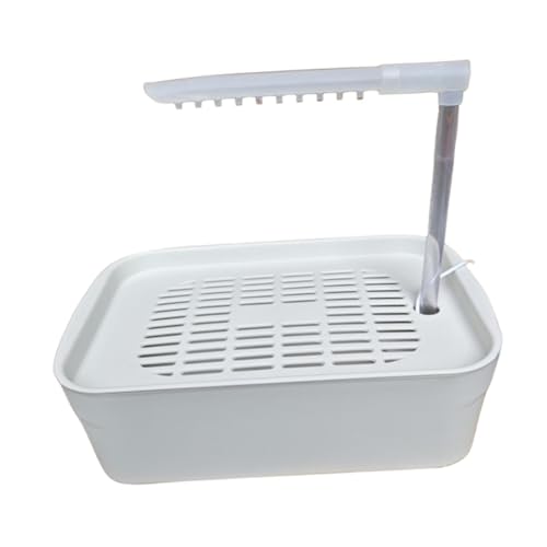 Colcolo Automatische Badebox für Papageien, automatisches Vogelbad für Haustiere, leicht zu reinigen und zu installieren, Papageienbadewanne für Wassernapf, Weiß Colcolo Automatische Badebox für Papageien, automatisches Vogelbad für Haustiere, leicht zu reinigen und zu installieren, Papageienbadewanne für Wassernapf, Weiß von Colcolo