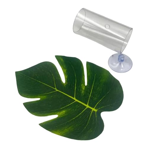 Colcolo Betta Fischrohr -Tunnel, Beobachtung Schutz zum Schlafen Spielen Fischtankzubehör Aquarium Haveout Hohlfischhöhle Colcolo Betta Fischrohr -Tunnel, Beobachtung Schutz zum Schlafen Spielen Fischtankzubehör Aquarium Haveout Hohlfischhöhle von Colcolo