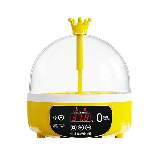 Colcolo Eierinkubator Geflügelbrüter, Kleiner USB-Temperaturregler für den Haushalt, 4 Eier, Eierbrüter, Hühnerbrutschrank, digitales Geflügel für Vögel, Halbautomatisch von Colcolo