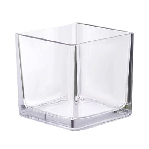 Colcolo Fischtank, Wasserlandschaftstank, quadratisch, Heimdekoration, Zierglas, transparentes Mini-Aquarium für Lebewesen Colcolo Fischtank, Wasserlandschaftstank, quadratisch, Heimdekoration, Zierglas, transparentes Mini-Aquarium für Lebewesen von Colcolo