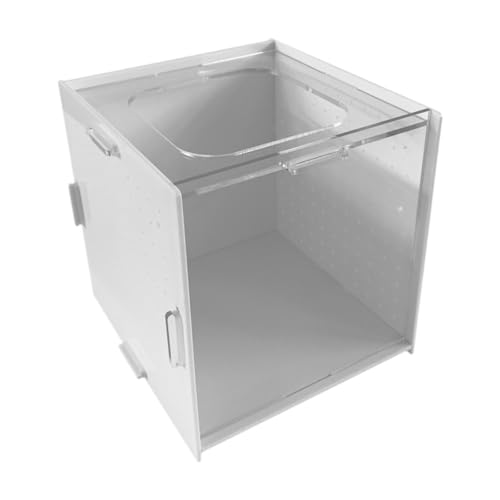 Colcolo Fischzüchterbox hängen, leicht zu installieren, abtrennende Acryl, Brütereifleischbox für Fisch Betta Clownfish Guppy, 10x10x10cm Colcolo Fischzüchterbox hängen, leicht zu installieren, abtrennende Acryl, Brütereifleischbox für Fisch Betta Clownfish Guppy, 10x10x10cm von Colcolo