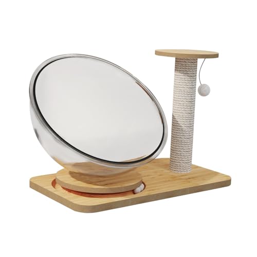 Colcolo Katzenbett in Raumkapselform, transparent, mit Trackbällen, Spielzeug, universelles Aktivitätszentrum für, Heimtierbedarf, Durchmesser 37 cm Colcolo Katzenbett in Raumkapselform, transparent, mit Trackbällen, Spielzeug, universelles Aktivitätszentrum für, Heimtierbedarf, Durchmesser 37 cm von Colcolo