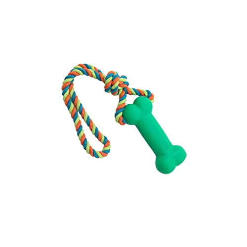 Colcolo Kauspielzeug aus Seil für Hunde, quietschendes Seil, Hundespielzeug, Haustiertraining, Spielen, interaktives Kauspielzeug für Hunde, Reinigung, GRÜN von Colcolo