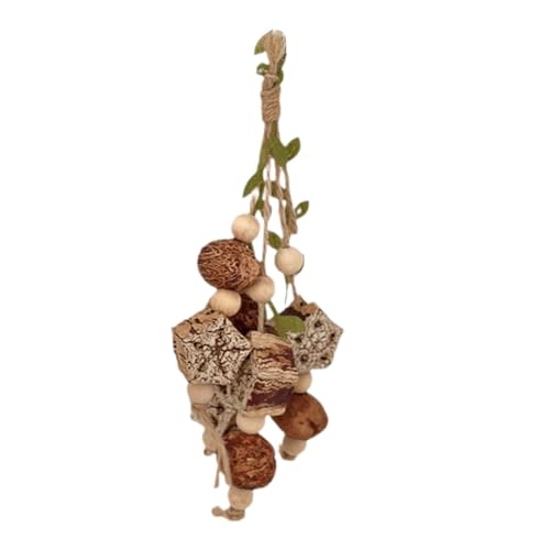 Colcolo Meerschweinchen-Spielzeug, Zahnknirschspielzeug, Kleintier-Kauspielzeug, Papageienzubehör, Kauspielzeug für Aras, Conures, Kakadus, Wellensittiche, Nuss Colcolo Meerschweinchen-Spielzeug, Zahnknirschspielzeug, Kleintier-Kauspielzeug, Papageienzubehör, Kauspielzeug für Aras, Conures, Kakadus, Wellensittiche, Nuss von Colcolo