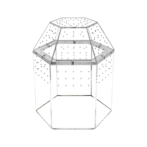 Colcolo Reptilien-Terrarium, Reptilienbecken, Springspinnen-Gehäuse, transparenter Terrarium-Lebensraum, Brutkasten für Schildkrötenhörnerfrösche Colcolo Reptilien-Terrarium, Reptilienbecken, Springspinnen-Gehäuse, transparenter Terrarium-Lebensraum, Brutkasten für Schildkrötenhörnerfrösche von Colcolo