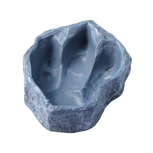 Colcolo Reptilien-Wasserschale, Futternapf, Tablett, leicht zu reinigen, Halter, Dekoration, Futterbecken, Futterstation für Schlangen- und -Aquarium, Grau von Colcolo