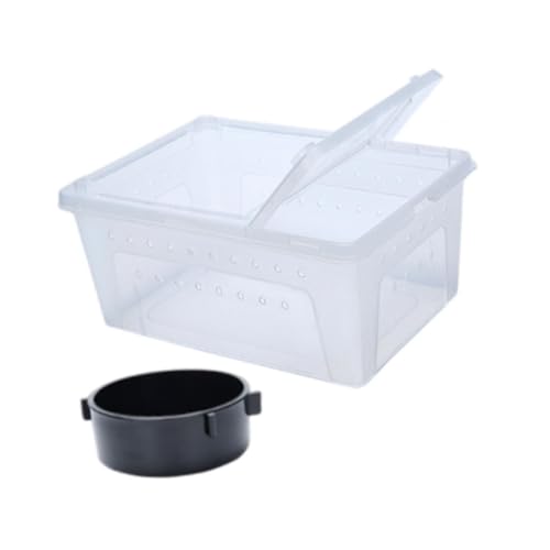 Colcolo Reptilienbox Reptilien Terrarium Stapelbarer Tank klarer Transportbehälter für Grillen Hamster Turtle Reptile Supplies, Klein von Colcolo