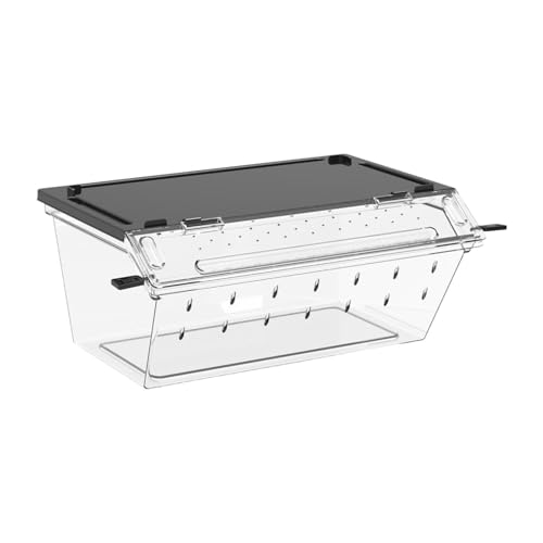 Colcolo Reptilienzuchtbox, durchsichtig, tragbares Gehäuse, Tierlebensraum, Käfig, Brutkasten für Skorpione, Geckos, Schlangen, Schwarz Colcolo Reptilienzuchtbox, durchsichtig, tragbares Gehäuse, Tierlebensraum, Käfig, Brutkasten für Skorpione, Geckos, Schlangen, Schwarz von Colcolo