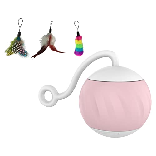 Colcolo Rosa USB Lade Katzenspielzeug Rotierender Ball mit Buntem von Colcolo