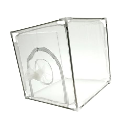 Colcolo Schmetterlingslebensraum Multifunktional Edelstahlhalterung Terrarium von Colcolo