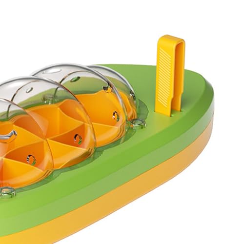 Colcolo Seidenraupen-Terrarien, Zuchtbox, Seidenraupen-Lebensraum, Lernspielzeug für Kinder mit Griff, Entwicklungsspielzeug, Zuchttank, Insektenbetrachter, GrÜn von Colcolo