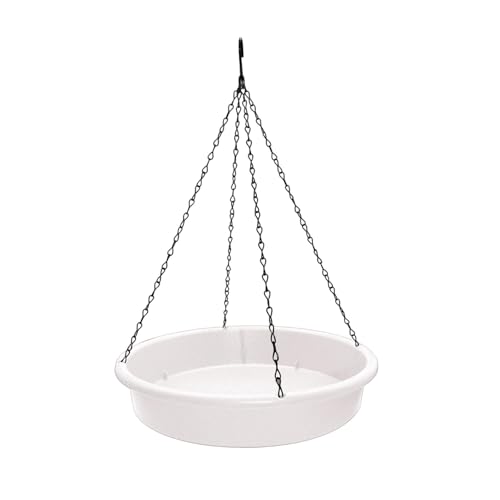 Colcolo Vögel Feeder und Vogelbad Schüssel Hängende Vogelbäder Wetterfestigkeit Vögel Colcolo Vögel Feeder und Vogelbad Schüssel Hängende Vogelbäder Wetterfestigkeit Vögel von Colcolo