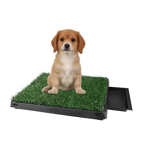 Coldshine Hundetoiletten Hundetoilette Hundeklo FüR Zuhause Hundeklo Hundetoilette Wohnung Hundetoilette Balkon Hundeklo Balkon Welpentoilette Hunde Klo Welpen Toilette Hundetoilette FüR Drinnen Coldshine Hundetoiletten Hundetoilette Hundeklo FüR Zuhause Hundeklo Hundetoilette Wohnung Hundetoilette Balkon Hundeklo Balkon Welpentoilette Hunde Klo Welpen Toilette Hundetoilette FüR Drinnen von ColdShine