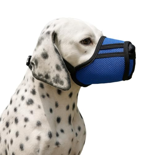 Colenumone Maulkorb für Hunde, atmungsaktiver Netz-Maulkorb für kleine, mittelgroße und große Hunde – Anti-Beißen, Kauen & Schnitzen, ermöglicht Hecheln und Trinken, verstellbarer weicher Colenumone Maulkorb für Hunde, atmungsaktiver Netz-Maulkorb für kleine, mittelgroße und große Hunde – Anti-Beißen, Kauen & Schnitzen, ermöglicht Hecheln und Trinken, verstellbarer weicher von Colenumone