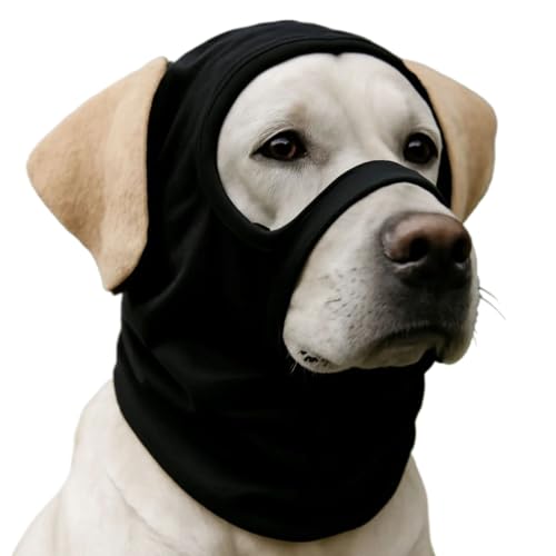Hundehut: Lassen Sie Ihren Hund hart aussehen; elastische und winddichte Kopfbedeckung, geeignet für Spaziergänge, Outdoor-Abenteuer, Training, Fotoshootings, Cosplay und Halloween (M) von Colenumone