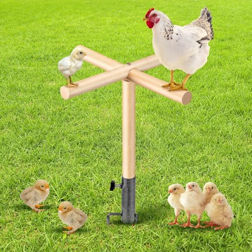 Colingmill Hühner-Sitzstange Spielzeug für Stall, 41,5 x 45,7 cm, aus Holz, mit Metall-Bodenstopfen für Hühnerstall, Zubehör, Outdoor-Geflügel, Spielplatz, Spielzeug oder Geflügel, Hahn, großer Vogel, Colingmill Hühner-Sitzstange Spielzeug für Stall, 41,5 x 45,7 cm, aus Holz, mit Metall-Bodenstopfen für Hühnerstall, Zubehör, Outdoor-Geflügel, Spielplatz, Spielzeug oder Geflügel, Hahn, großer Vogel, von Colingmill