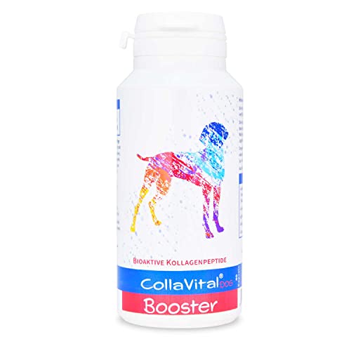 CollaVital® Dog Booster Typ2 Kollagen 40 Kapseln - Gelenkpulver aus bioaktiven Kollagen Hydrolysat - Geschmacksneutral - bioaktive Kollagenpeptide - Protein Booster - Arthrose - für den Hund von CollaVital