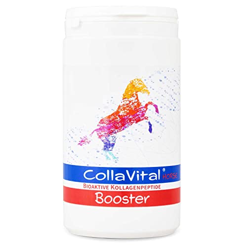 CollaVital® Horse Booster Kollagen TYP 2 Pulver 500 g - Gelenkpulver aus bioaktiven Kollagen Hydrolysat für Pferde 200g bioaktive Kollagenpeptide mit Chondroitinsulfat und Hyaluronsäure DE Germany von CollaVital