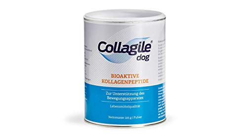 Collagile Dog Bioaktive Kollagenpeptide Barf Nahrungsergänzung für Hunde, 3 x 225 g von Collagile