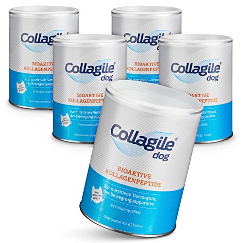 Collagile® Dog - Bioaktive Kollagenpeptide in Lebensmittelqualität 225g (5 x 225g) von Collagile