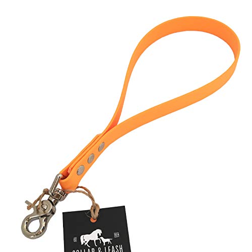 Collar & Leash C&L Kurzführer Hundeleine für Mittel - Große Hunde aus 19 mm BioThane® / 25 cm/orange von Collar & Leash