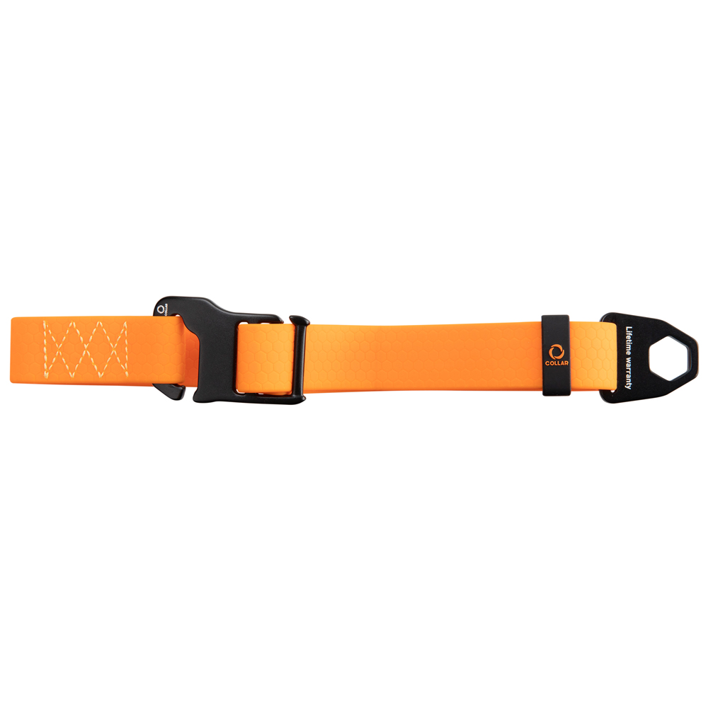 Collar Hundehalsband Evolutor orange, Breite: ca. 25 mm, Länge: ca. 25 - 70 cm von Collar