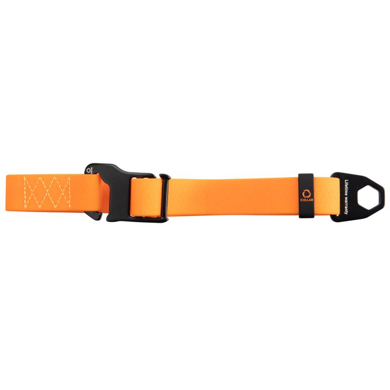 Collar Hundehalsband Evolutor orange, Breite: ca. 25 mm, Länge: ca. 25 - 70 cm von Collar