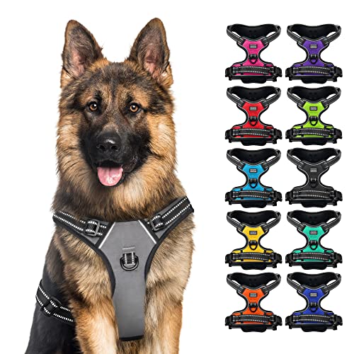 Body Dog Harness (Größe L, Farbe Grau) von CollarDirect