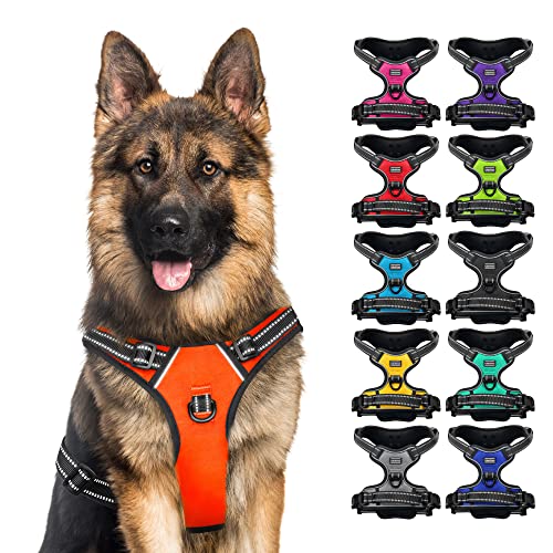 Body Dog Harness (Größe L, Farbe Orange) von CollarDirect