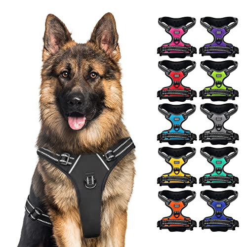 Body Dog Harness (Größe M, Farbe Schwarz) von CollarDirect