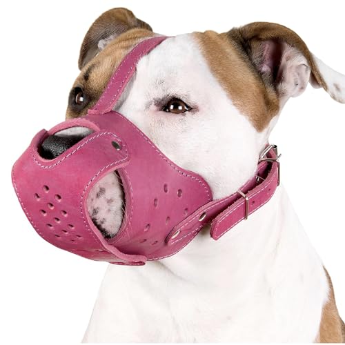CollarDirect AmStaff Maulkorb für Hunde, aus echtem Leder, Staffordshire Terrier, Pink von CollarDirect